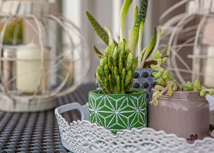 Apartamento Aeolus Luxury - I *