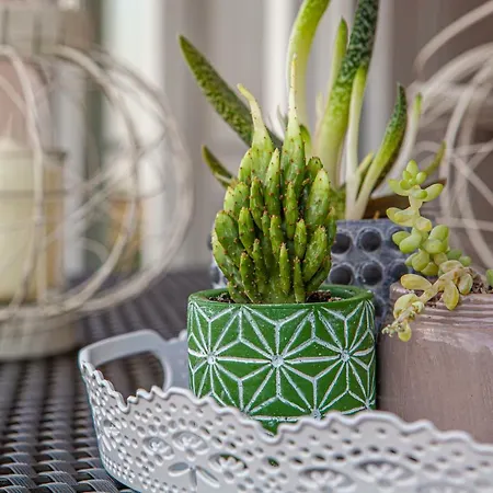 Apartament Aeolus Luxury - I *